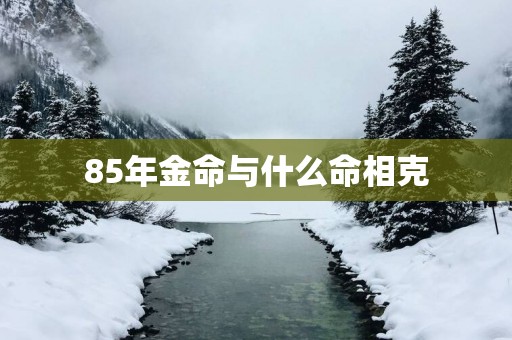 85年金命与什么命相克