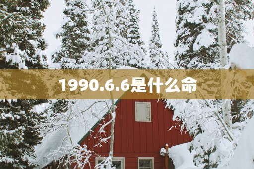 1990.6.6是什么命
