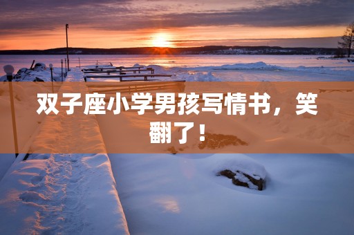 双子座小学男孩写情书，笑翻了！