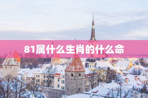 81属什么生肖的什么命