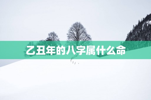 乙丑年的八字属什么命
