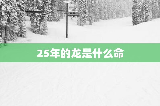 25年的龙是什么命