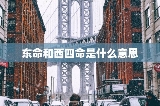 东命和西四命是什么意思