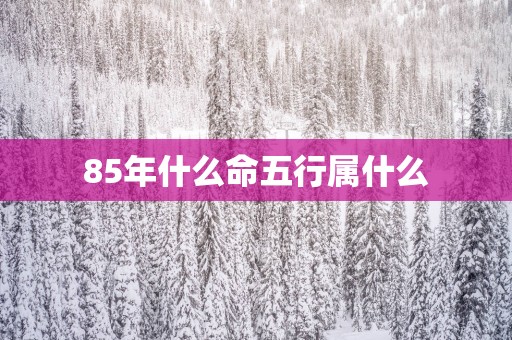 85年什么命五行属什么