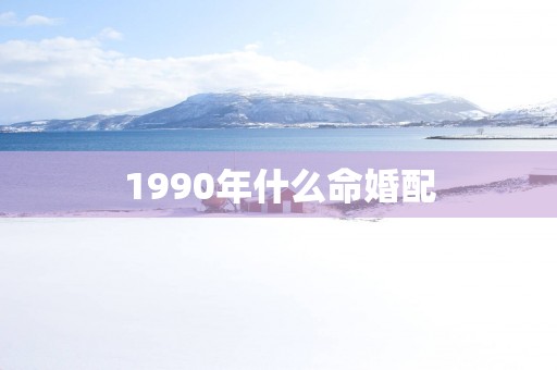 1990年什么命婚配
