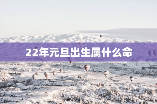 22年元旦出生属什么命