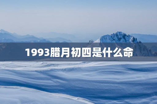 1993腊月初四是什么命