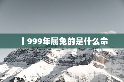 丨999年属兔的是什么命