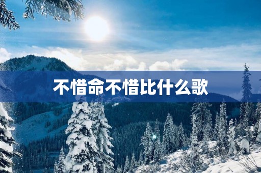 不惜命不惜比什么歌