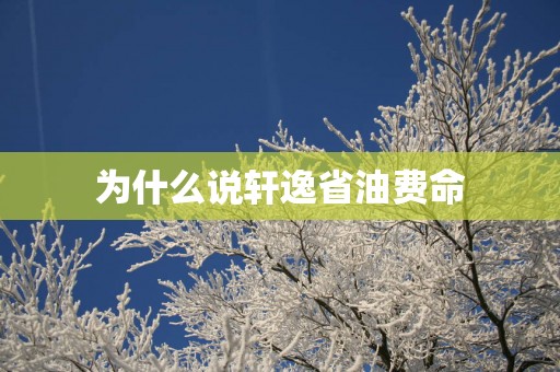 为什么说轩逸省油费命
