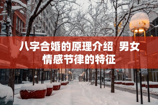 八字合婚的原理介绍  男女情感节律的特征