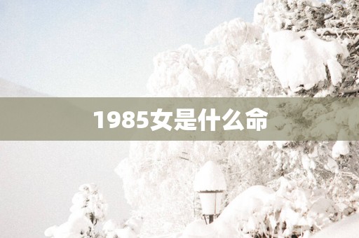 1985女是什么命