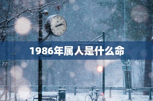 1986年属人是什么命