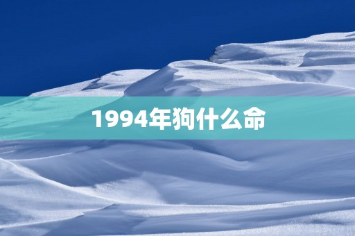 1994年狗什么命