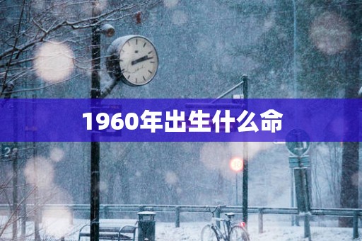 1960年出生什么命