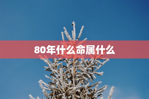 80年什么命属什么