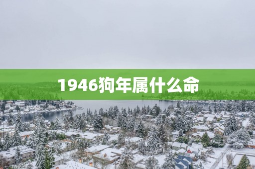 1946狗年属什么命
