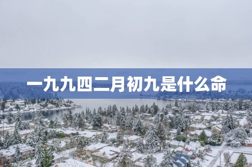 一九九四二月初九是什么命