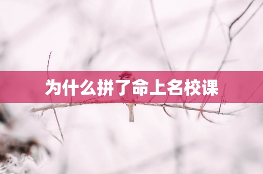为什么拼了命上名校课