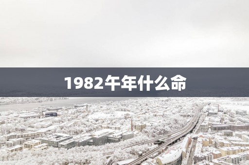 1982午年什么命