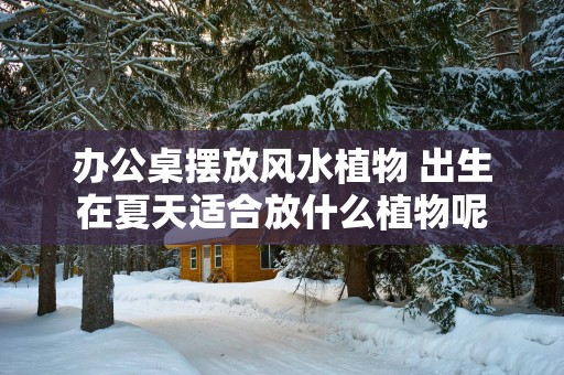办公桌摆放风水植物 出生在夏天适合放什么植物呢