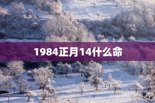 1984正月14什么命