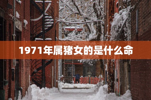 1971年属猪女的是什么命
