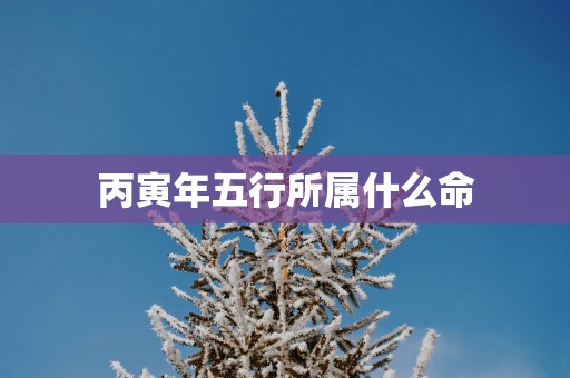 丙寅年五行所属什么命