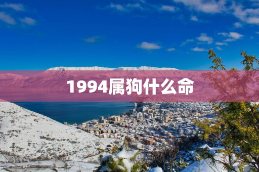1994属狗什么命
