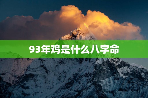 93年鸡是什么八字命