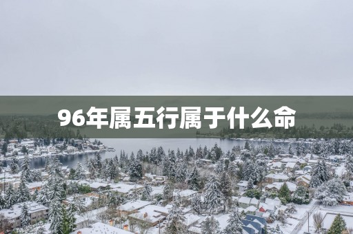 96年属五行属于什么命