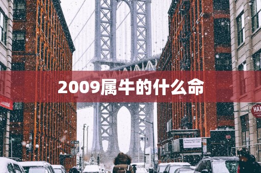 2009属牛的什么命