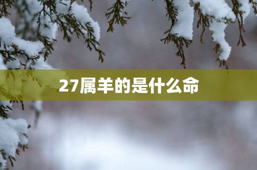 27属羊的是什么命