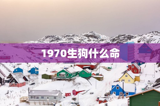 1970生狗什么命