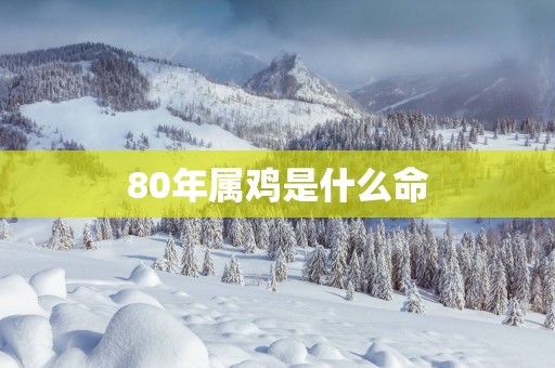 80年属鸡是什么命