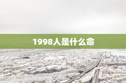 1998人是什么命