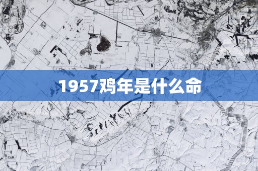 1957鸡年是什么命