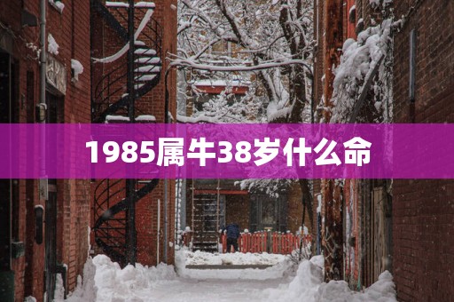 1985属牛38岁什么命