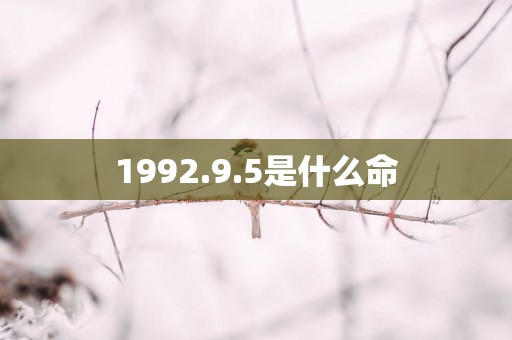 1992.9.5是什么命