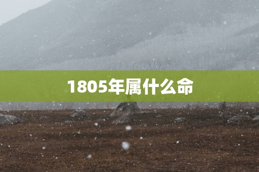 1805年属什么命