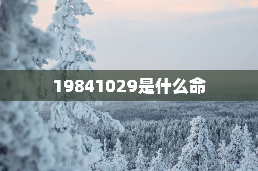 19841029是什么命