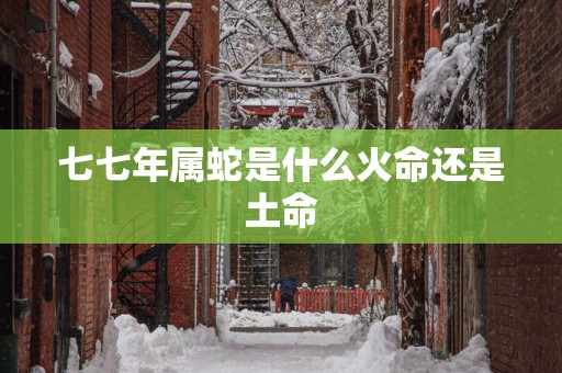 七七年属蛇是什么火命还是土命