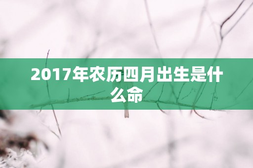 2017年农历四月出生是什么命