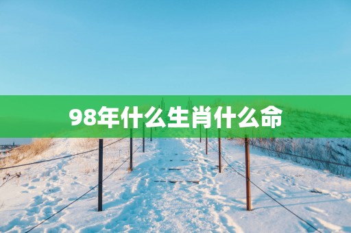 98年什么生肖什么命