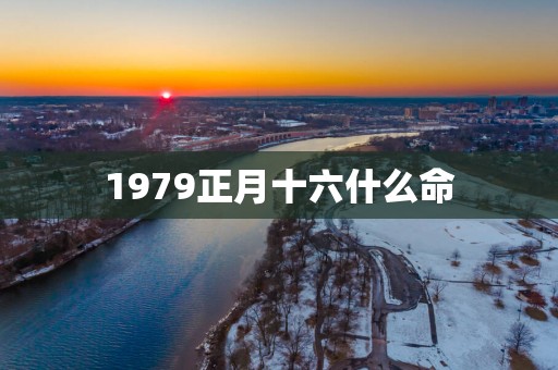 1979正月十六什么命