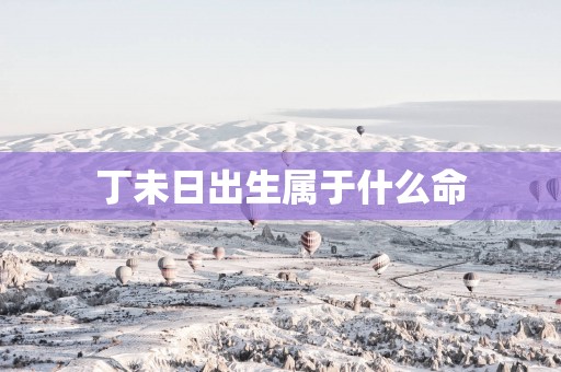 丁未日出生属于什么命