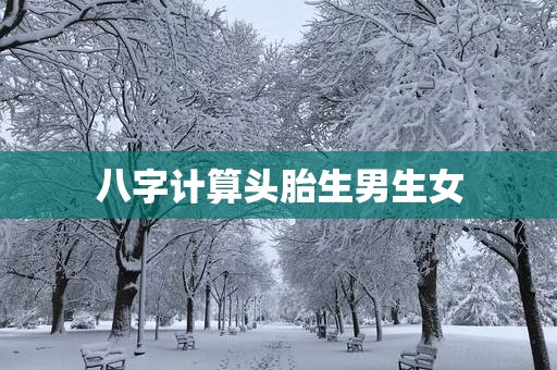 八字计算头胎生男生女
