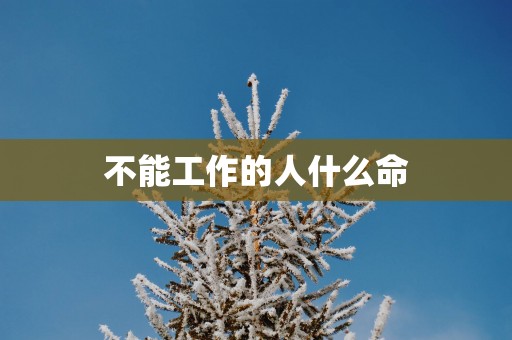 不能工作的人什么命