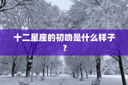 十二星座的初吻是什么样子？