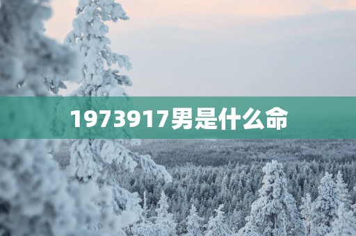 1973917男是什么命